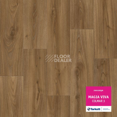 Линолеум Tarkett Magia Viva COLMAR 3 фото 1 | FLOORDEALER